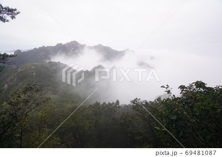 霊岩郡 月出山 国立公園 69481087