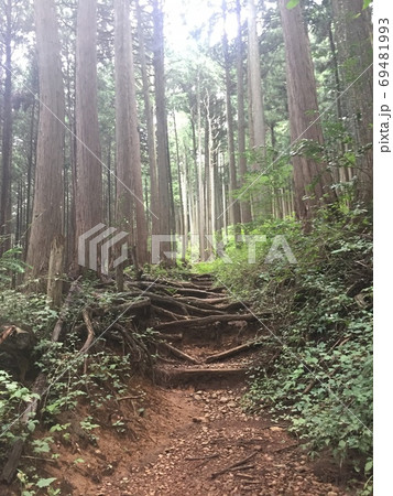 とある日本の山道の風景 69481993
