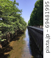 東京の並木と川の風景 69481995