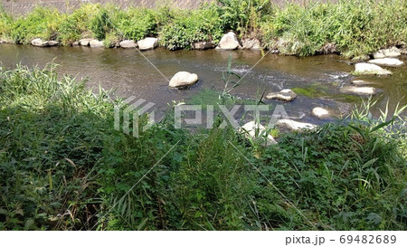 いたち川　横浜市栄区　土木学会デザイン賞　栄区シンボルリバー 69482689