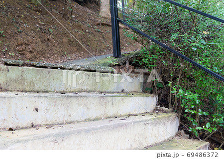 Cement stairway in the forest. 69486372