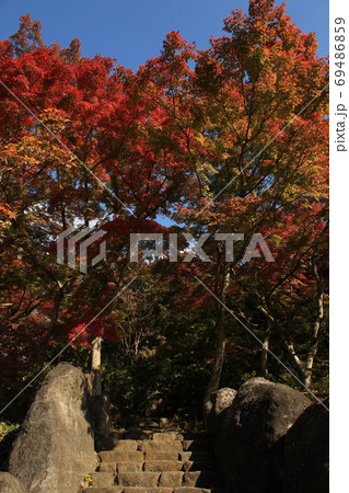 筑波観光鉄道の宮脇駅の紅葉 69486859