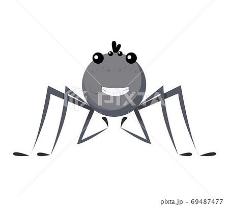 Funny cartoon insect isolated on white. Vector spider character. Happy animal. Colorful hand drawn illustration. Flat colorful bug 69487477