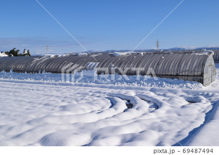 雪が積もった水田 雪が積もった水田 69487494