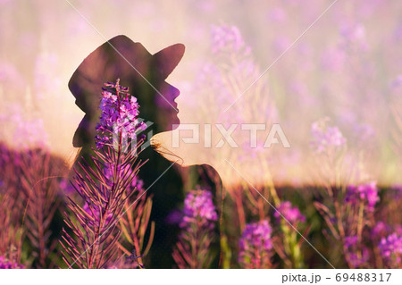 Woman in hat silhouette on blooming Sally summer flower field Woman in hat silhouette on blooming Sally summer flower field 69488317