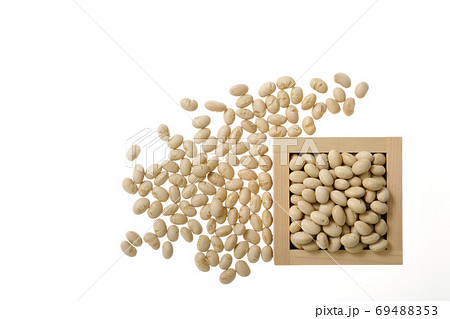 煎り大豆 鬼打ち豆 の写真素材