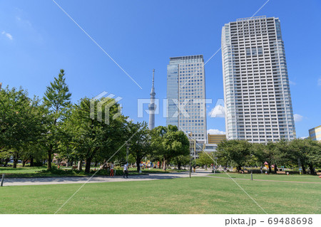 都市風景　スカイツリーが見える芝生の公園　東京都墨田区　錦糸公園 69488698