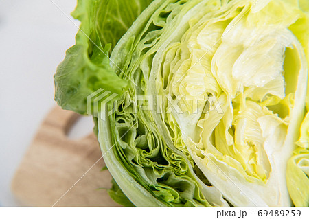 シャキシャキと美味しいレタス シャキシャキと美味しいレタス 69489259