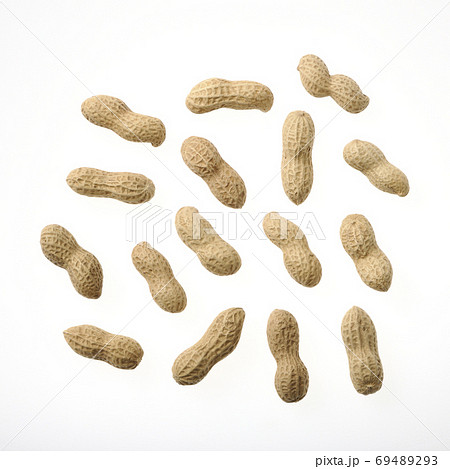 落花生 落花生 69489293