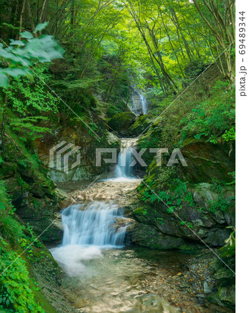 Waterfalls in the forest (Tochigi, Japan) 69489344