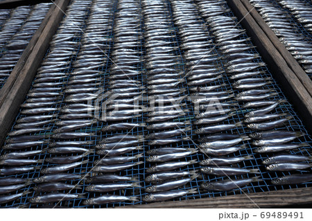 イワシの天日干し 69489491