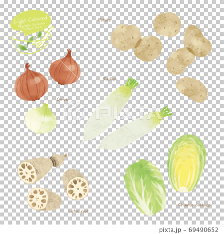 Hand-drawn illustration of light-colored vegetables Hand-drawn illustration of light-colored vegetables 69490652