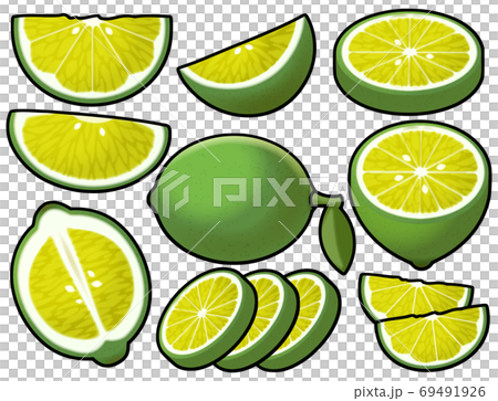 各種酸橙 各種酸橙 69491926