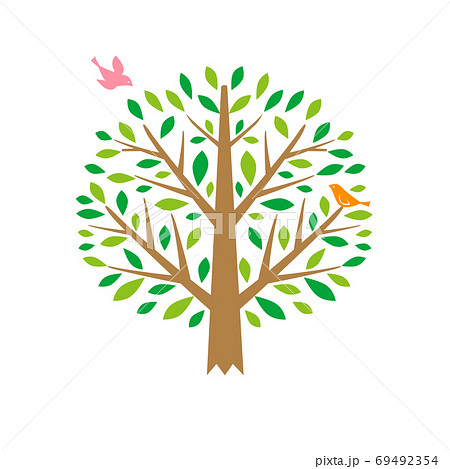 緑の木と鳥のイラストのイラスト素材