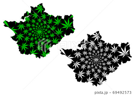 Cheshire (United Kingdom, England, Non-metropolitan county, shire county) map is designed cannabis leaf green and black, County Palatine of Chester map made of marijuana (marihuana,THC) foliage.... 69492573