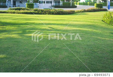 Garden and landscaping for background. 69493071