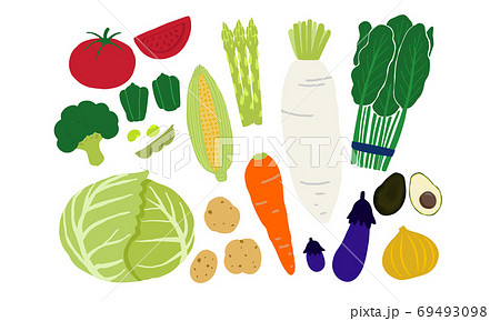 いろいろな種類の野菜イラストのイラスト素材