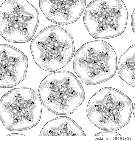 Geometric slice papaya seamless pattern in hand drawn style. Pawpaw wallpaper. Engraving style. 69493352