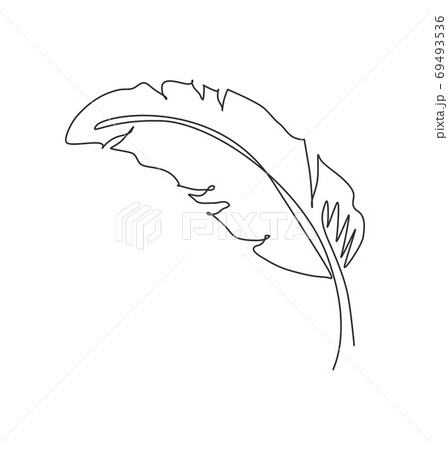 One continuous line drawing abstract tropical banana leaf One continuous line drawing abstract tropical banana leaf 69493536