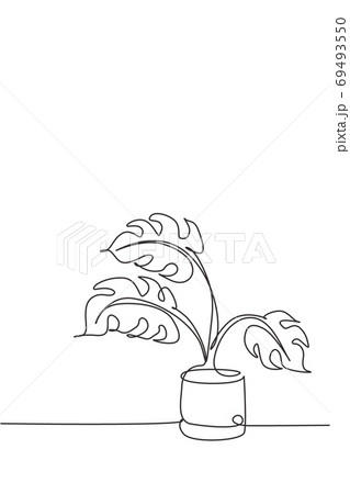 One Single Line Drawing Monstera Leaf In Pot のイラスト素材