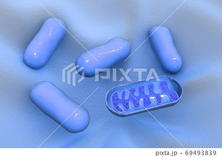 Virus illustration Virus illustration 69493839