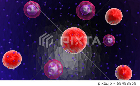 cells 69493859