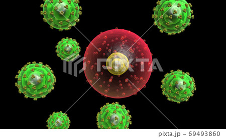 HIV virus 69493860