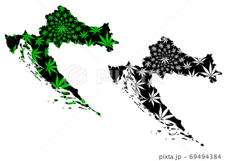 Croatia - map is designed cannabis leaf Croatia - map is designed cannabis leaf 69494384