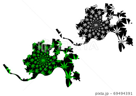Cincinnati city - map is designed cannabis leaf 69494391