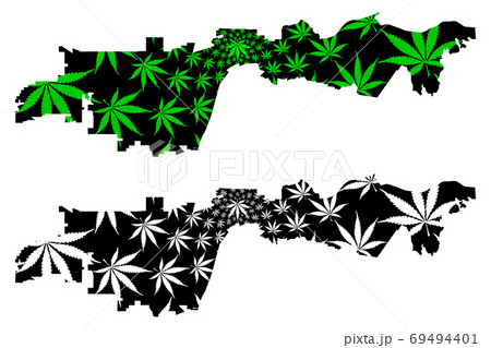 Anaheim city - map is designed cannabis leaf 69494401