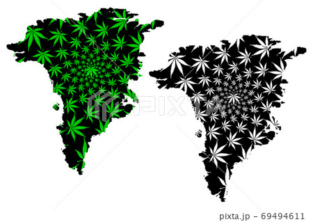Greenland island - map is designed cannabis leaf Greenland island - map is designed cannabis leaf 69494611