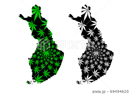 Finland - map is designed cannabis leaf 69494620