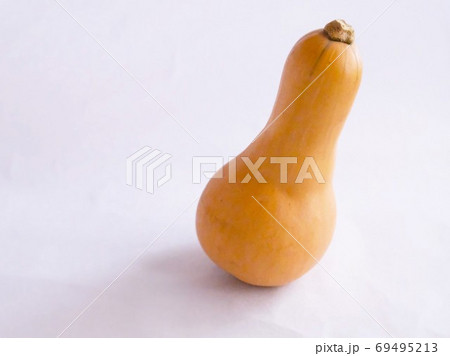 バターナッツカボチャ 69495213