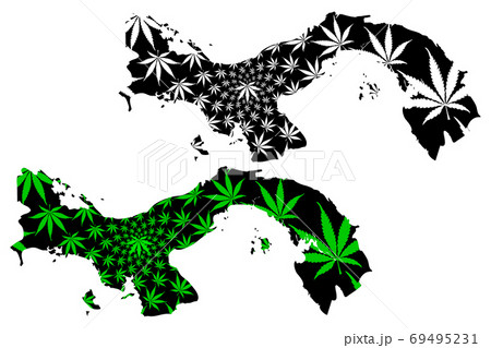 Panama - map is designed cannabis leaf Panama - map is designed cannabis leaf 69495231
