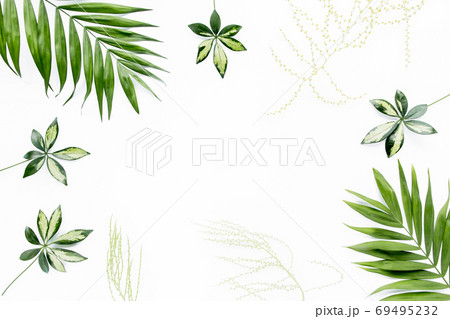 green palm leaf branches on white background. flat lay, top view green palm leaf branches on white background. flat lay, top view 69495232
