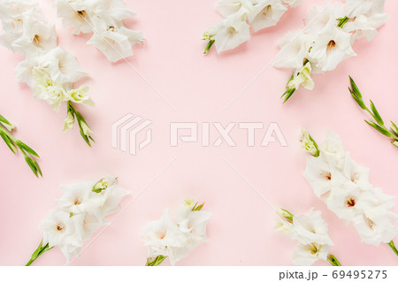 Beautiful white gladioluses on pink background. Pattern of gladioli with space for your text, holiday greeting card. Valentine's. Flat lay, top view. Beautiful white gladioluses on pink background. Pattern of gladioli with space for your text, holiday greeting card. Valentine's. Flat lay, top view. 69495275