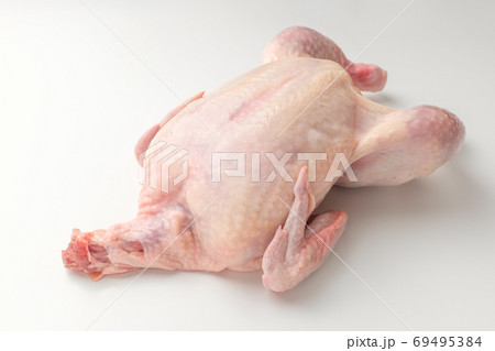 鶏 生 なまもの 69495384