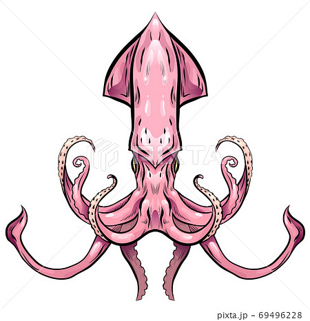 Colorful illustration of squid. The object is separate from the background. 69496228