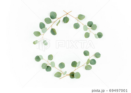 Wreath frame made of branches eucalyptus and leaves isolated on white background. Flat lay. Top view. Wreath frame made of branches eucalyptus and leaves isolated on white background. Flat lay. Top view. 69497001
