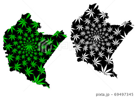 Podkarpackie Voivodeship (Voivodeships of Poland) map is designed cannabis leaf green and black, Subcarpathian Voivodeship (Subcarpathia Province) map made of marijuana (marihuana,THC) foliage.... 69497345