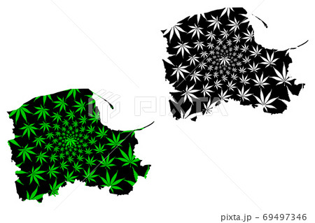 Pomeranian Voivodeship (Voivodeships of Poland) map is designed cannabis leaf green and black, Pomerania Province (Pomorskie Region) map made of marijuana (marihuana,THC) foliage.... Pomeranian Voivodeship (Voivodeships of Poland) map is designed cannabis leaf green and black, Pomerania Province (Pomorskie Region) map made of marijuana (marihuana,THC) foliage.... 69497346