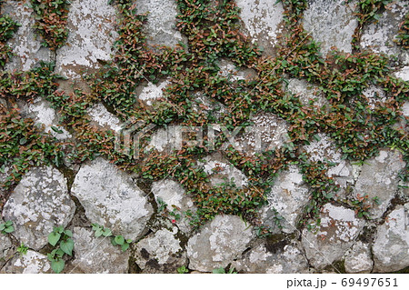 古い石積みの擁壁と植物 古い石積みの擁壁と植物 69497651