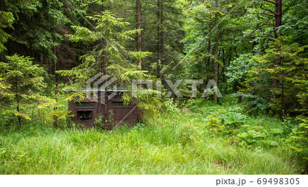 Camouflage hide for nature photography in shadow of a tree inside forest 69498305