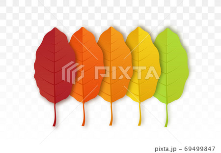 Autumn leave collection 69499847
