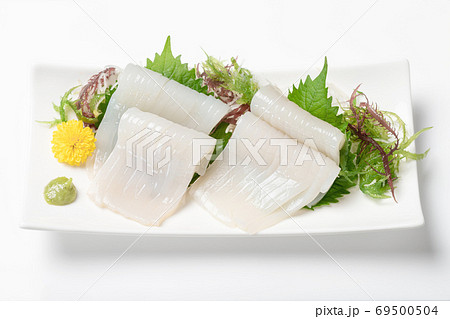 するめいかの刺身 69500504