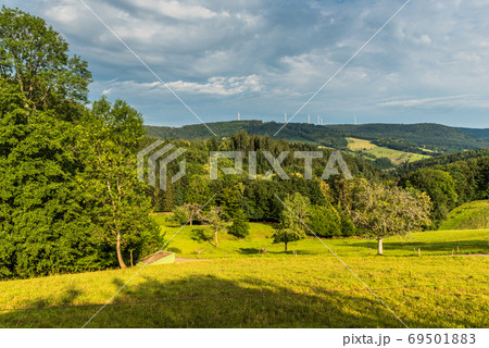 Green hilly landscape near Schuttertal in the Black Forest, Baden-Wuerttemberg, Germany 69501883