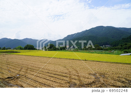 京都大原の里山5 69502248