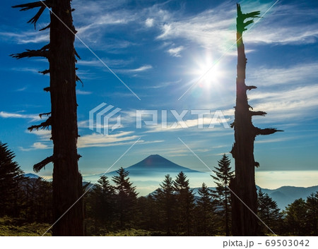 山伏岳から夜明けの富士山 山伏岳から夜明けの富士山 69503042