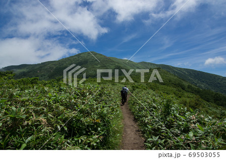 新潟と群馬の県境にある三国山脈(平標山/仙ノ倉山)を上越自然歩道ルートの松手山直後の登山道と登山者 新潟と群馬の県境にある三国山脈(平標山/仙ノ倉山)を上越自然歩道ルートの松手山直後の登山道と登山者 69503055
