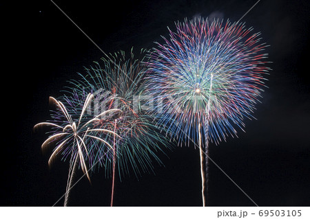 【愛知県田原市】田原祭り・五町合同花火大会 69503105